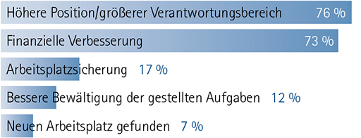 BeruflicheKarriere_Diagramm